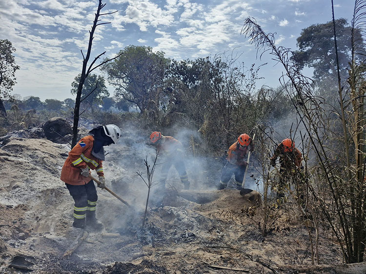 Mulheres t&ecirc;m papel de destaque no combate aos inc&ecirc;ndios no Pantanal