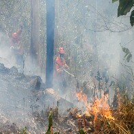 Bioma pantaneiro tem oito focos ativos mesmo ap&oacute;s semana de frio e chuva em MS