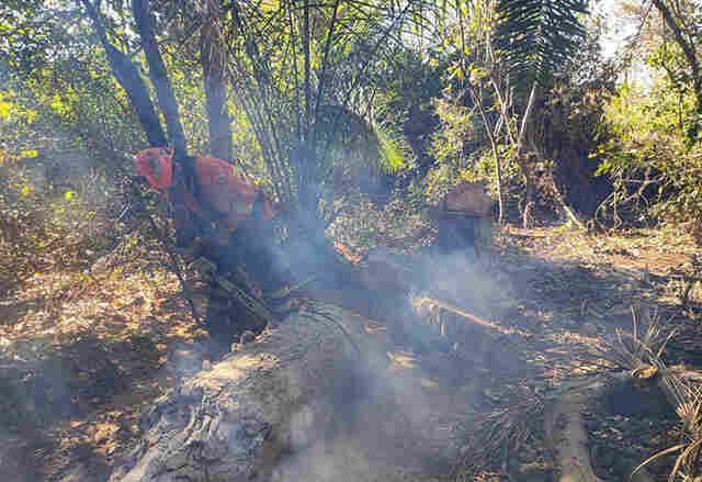 Pantanal de MS tem umidade em 10% e focos ativos em diferentes regi&otilde;es