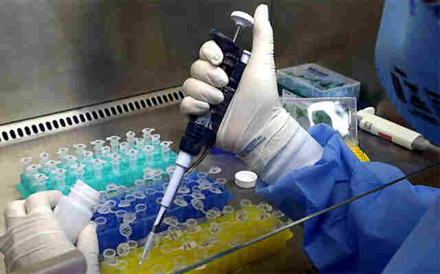 SES confirma primeiro caso aut&oacute;ctone de Febre Oropouche em Mato Grosso do Sul