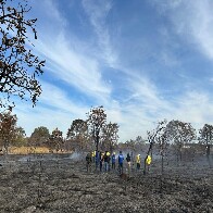 Peritos, bombeiros e PMA de MS passam por curso para identificar inc&ecirc;ndios florestais criminosos