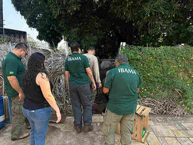 Em Corumb&aacute;, Prefeitura e Ibama refor&ccedil;am parceria em a&ccedil;&otilde;es em defesa do meio ambiente 