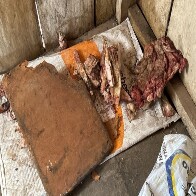 Ap&oacute;s flagrante de trabalho escravo, fazenda em Corumb&aacute; firma acordo de R$ 277 mil por dano moral &agrave; sociedade e &agrave;s v&iacute;timas