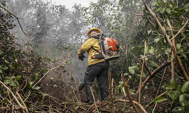 Ministro Fl&aacute;vio Dino manda governo ampliar combate ao fogo na Amaz&ocirc;nia e no Pantanal