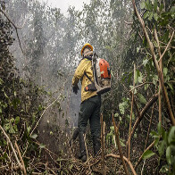 Ministro Fl&aacute;vio Dino manda governo ampliar combate ao fogo na Amaz&ocirc;nia e no Pantanal