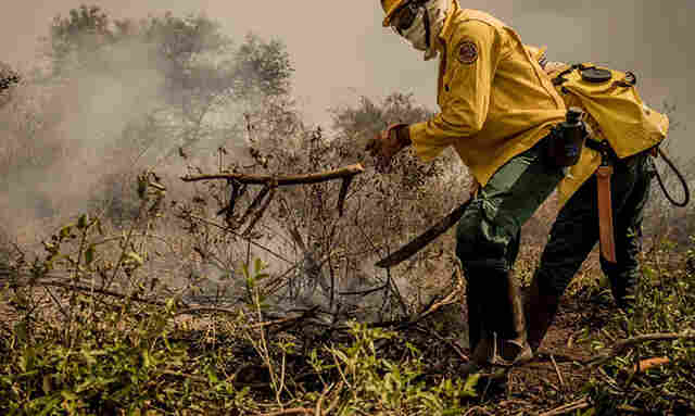Inc&ecirc;ndios no Pantanal j&aacute; consumiram este ano mais de 15% do bioma