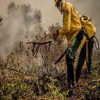 Inc&ecirc;ndios no Pantanal j&aacute; consumiram este ano mais de 15% do bioma