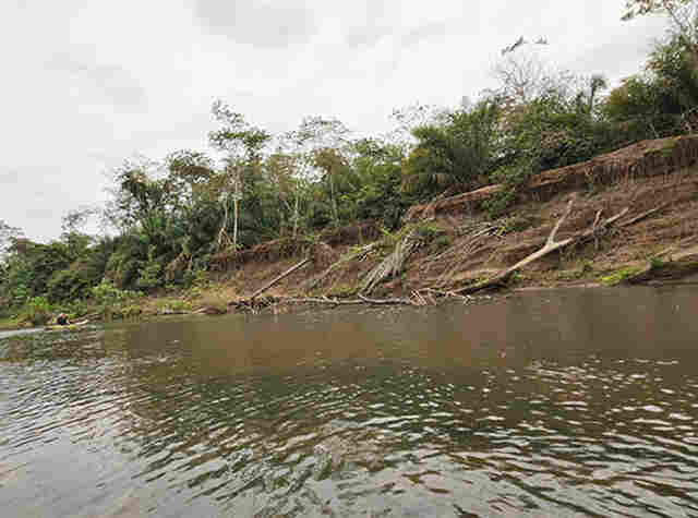 IHP faz a&ccedil;&atilde;o conjunta com institui&ccedil;&otilde;es para alertar n&iacute;vel cr&iacute;tico da sa&uacute;de do rio Miranda