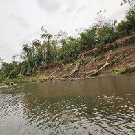 IHP faz a&ccedil;&atilde;o conjunta com institui&ccedil;&otilde;es para alertar n&iacute;vel cr&iacute;tico da sa&uacute;de do rio Miranda