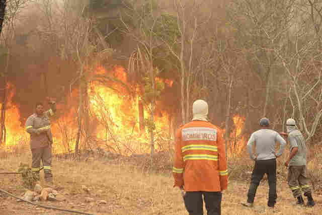 Pantanal pode acabar antes do que Marina disse, afirma ambientalista da USP