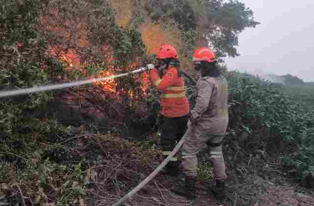 Inc&ecirc;ndios florestais se intensificam em biomas de MS, e na fronteira com a Bol&iacute;via combate continua
