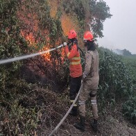 Inc&ecirc;ndios florestais se intensificam em biomas de MS, e na fronteira com a Bol&iacute;via combate continua