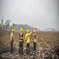 Ministro do STF Fl&aacute;vio Dino estabelece or&ccedil;amento de emerg&ecirc;ncia para combate a inc&ecirc;ndios