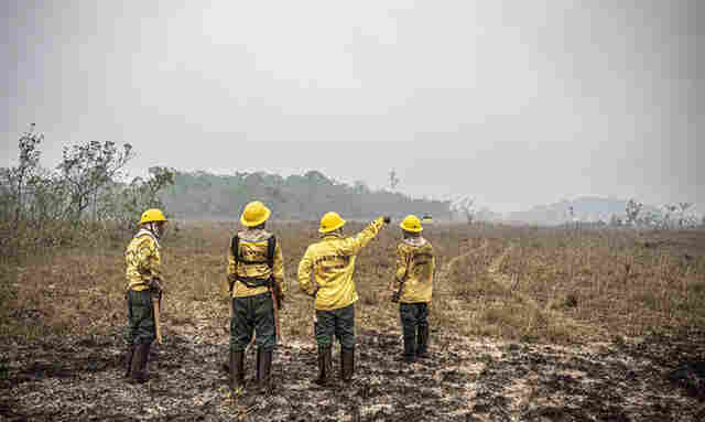 Ministro do STF Fl&aacute;vio Dino estabelece or&ccedil;amento de emerg&ecirc;ncia para combate a inc&ecirc;ndios