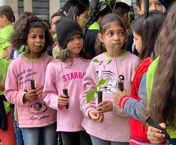 Sanesul celebra o Dia da &Aacute;rvore com a&ccedil;&otilde;es de conscientiza&ccedil;&atilde;o ambiental 