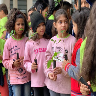 Sanesul celebra o Dia da &Aacute;rvore com a&ccedil;&otilde;es de conscientiza&ccedil;&atilde;o ambiental 