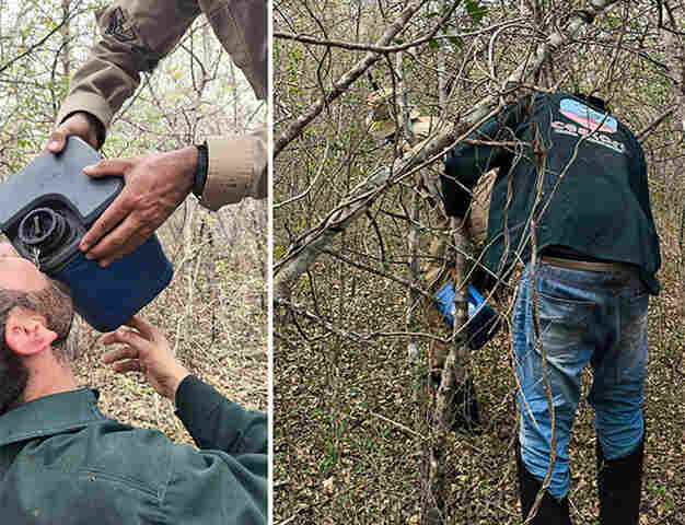 Bombeiros resgatam homem perdido em mata na regi&atilde;o do Tamarineiro em Corumb&aacute;