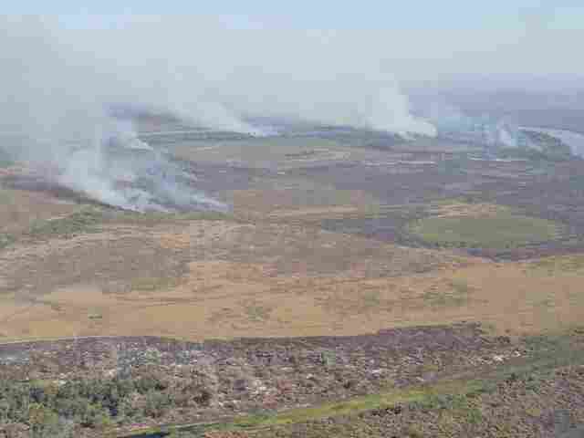 PF investiga inc&ecirc;ndios criminosos na regi&atilde;o do Pantanal