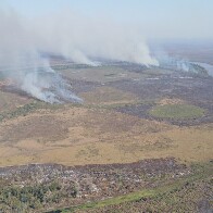 PF investiga inc&ecirc;ndios criminosos na regi&atilde;o do Pantanal