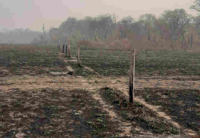 For&ccedil;a-tarefa in&eacute;dita no Pantanal visa auxiliar a recupera&ccedil;&atilde;o de 500 propriedades rurais atingidas pelo fogo