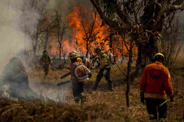 Medida provis&oacute;ria facilita repasses financeiros a estados para combater inc&ecirc;ndios  