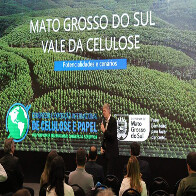 &Aacute;rea plantada de florestas em MS &eacute; a que mais cresce no pa&iacute;s e chega a 1,5 milh&atilde;o de hectares