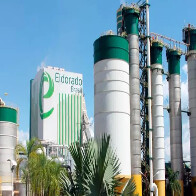 Tribunal arbitral bloqueia a&ccedil;&otilde;es da Paper Excellence na Eldorado