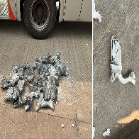 &Ocirc;nibus clandestino &eacute; detido com 19 fetos de Lhama em opera&ccedil;&atilde;o de for&ccedil;a de seguran&ccedil;as