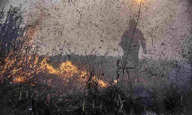 Focos de inc&ecirc;ndios no Brasil j&aacute; s&atilde;o 76% maiores que em 2023 