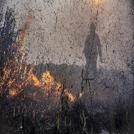 Focos de inc&ecirc;ndios no Brasil j&aacute; s&atilde;o 76% maiores que em 2023 