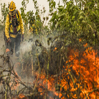 Minist&eacute;rio de Meio Ambiente lan&ccedil;a consulta p&uacute;blica do Plano de Preven&ccedil;&atilde;o e Controle do Desmatamento e das Queimadas no Pantanal