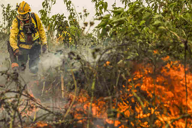 Minist&eacute;rio de Meio Ambiente lan&ccedil;a consulta p&uacute;blica do Plano de Preven&ccedil;&atilde;o e Controle do Desmatamento e das Queimadas no Pantanal