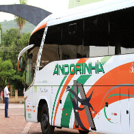 Chic&atilde;o critica valores de passagens e volta a cobrar fim do monop&oacute;lio
