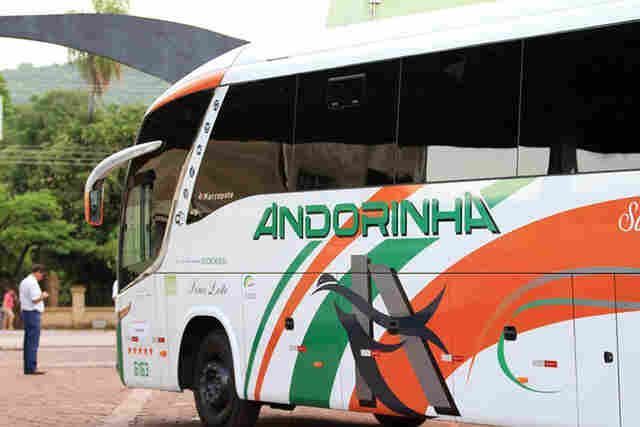 Chic&atilde;o critica valores de passagens e volta a cobrar fim do monop&oacute;lio