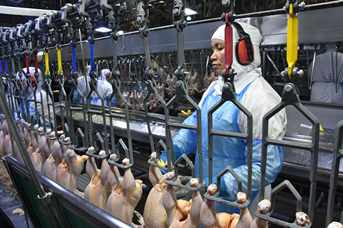 Exporta&ccedil;&atilde;o de industrializados alcan&ccedil;ou em setembro o melhor resultado em toda a s&eacute;rie hist&oacute;ria