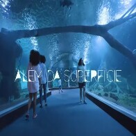 Filme sobre Bioparque Pantanal &eacute; finalista em festival internacional de cinema e turismo em Portugal