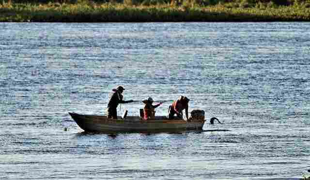 Piracema: Imasul alerta para &uacute;ltima semana de pesca antes do per&iacute;odo de defeso