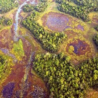 Rios do Pantanal mant&ecirc;m ritmo de recupera&ccedil;&atilde;o ap&oacute;s pior seca da hist&oacute;ria