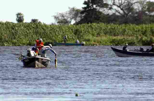 &Uacute;ltimo dia de pesca em Mato Grosso do Sul; pescadores e comerciantes devem informar estoque de pescado ao Imasul
