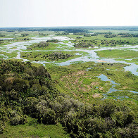 Com faturamento de mais de R$ 1,83 bilh&atilde;o ao ano, a pecu&aacute;ria &eacute; a atividade que mais gera empregos no Pantanal