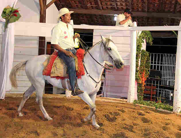 Feapan ter&aacute; 1&ordm; shopping do cavalo pantaneiro