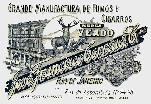 Livro revela origem do termo &lsquo;veado&rsquo; como insulto homof&oacute;bico