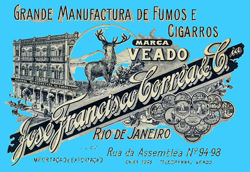 Livro revela origem do termo &lsquo;veado&rsquo; como insulto homof&oacute;bico