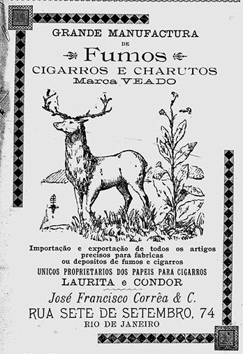 Livro revela origem do termo &lsquo;veado&rsquo; como insulto homof&oacute;bico