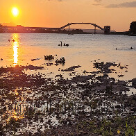 Rios do Pantanal seguem em recupera&ccedil;&atilde;o, mas devem permanecer com n&iacute;veis cr&iacute;ticos at&eacute; dezembro