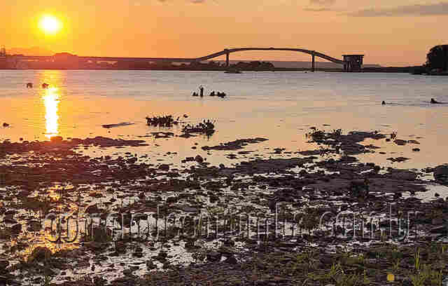 Rios do Pantanal seguem em recupera&ccedil;&atilde;o, mas devem permanecer com n&iacute;veis cr&iacute;ticos at&eacute; dezembro