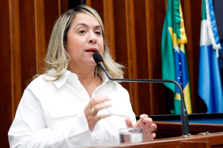Deputada Lia denuncia ameaças a profissionais do SUS e pede Campanha de Combate à Violência
