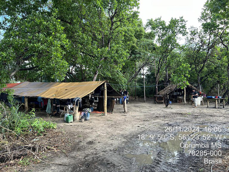 PF resgata 15 trabalhadores em condições análogas à escravidão no Pantanal Sul-Mato-Grossense