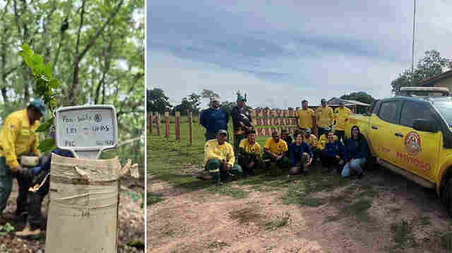 Plantio in&eacute;dito de Pau-Santo &eacute; realizado em aldeias na TI Kadiw&eacute;u, em Mato Grosso do Sul