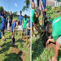 Funda&ccedil;&atilde;o de Meio Ambiente e Desenvolvimento Rural de Lad&aacute;rio realiza plantio de mudas nativas do Brasil